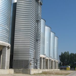 Agroglobe Novi Sad 006